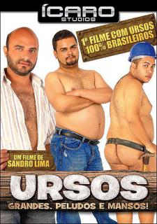 Ursos Grandes Peludos E Mansos Capa